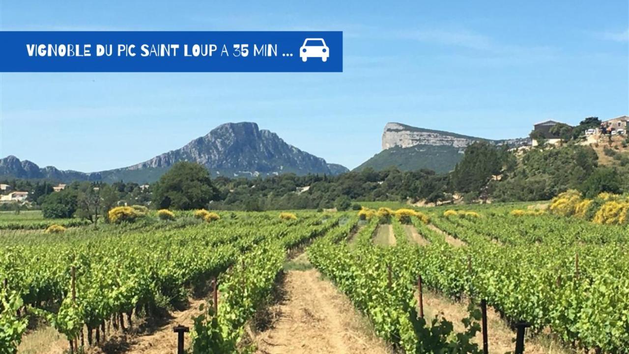 Uncourtsejour - Montpellier Gare - Parking Lägenhet Exteriör bild
